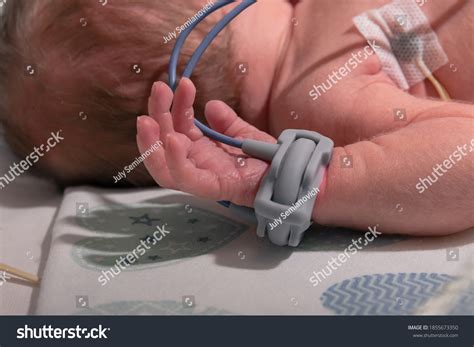 3,053 Premature Baby Hand Images, Stock Photos & Vectors | Shutterstock