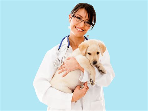Improving The Lives of Veterinary Professionals: Shepherd Software's ...