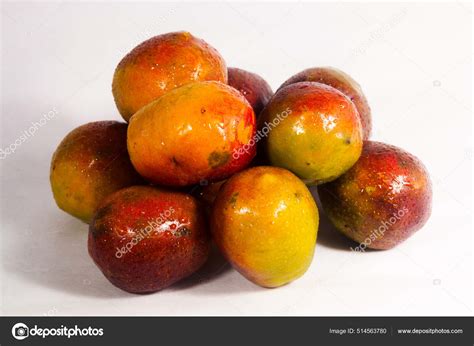 Jocotes In English 4 Tree Cuttings Of Jocote Aka, Spanish Plum,