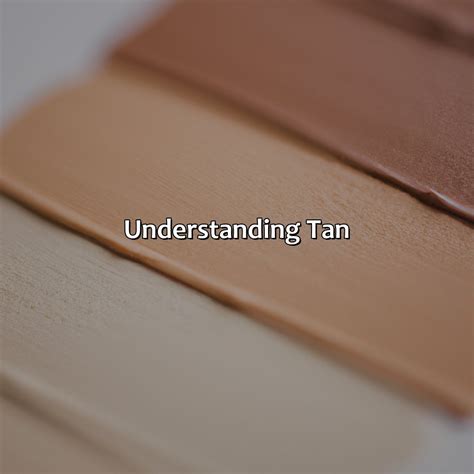What Color Makes Tan - colorscombo.com
