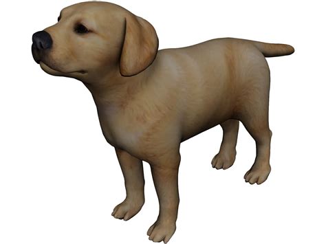 Dog 3D Model - 3DCADBrowser