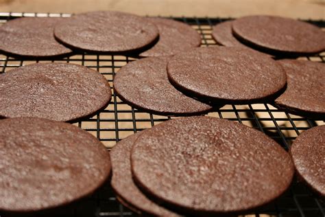 Nabisco Famous Chocolate Wafers Copycat Recipe at Josh McCoy blog