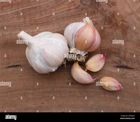 Various Pieces of Spanish Roja Garlic Stock Photo - Alamy