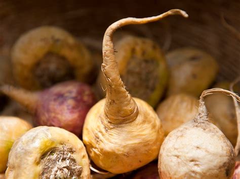 Aphrodisiacs: 10 best foods to get you in the mood from oysters to ...