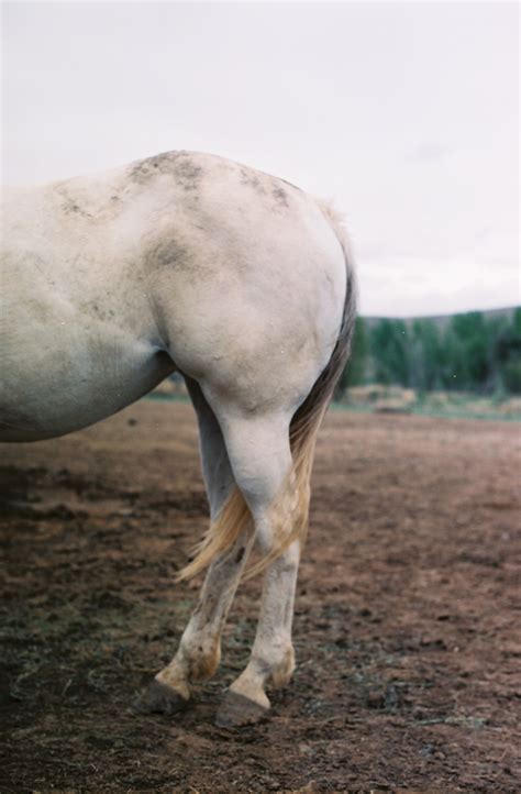 BLOG — Philip Eastman - Writer + Photographer