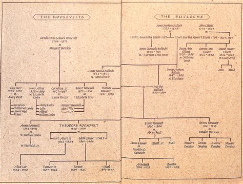 "Mornings On Horseback" 1981 MCCULLOUGH, David