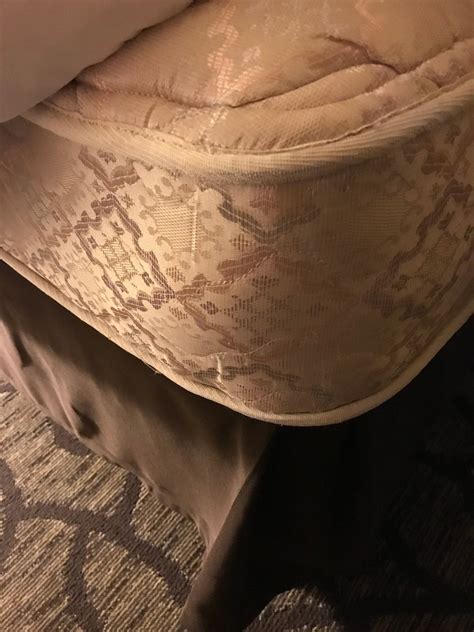 BEST WESTERN DUNMAR INN - Updated 2024 Prices & Hotel Reviews (Evanston ...