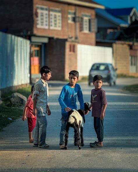 Anime+Sex+Positions Photos, Download The BEST Free Anime+Sex+Positions ...