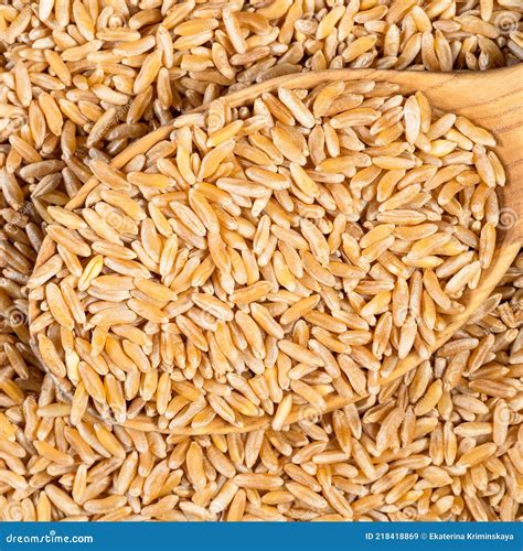 Kamut Khorasan Wheat Grains in Wood Spoon Closeup Stock Image - Image ...