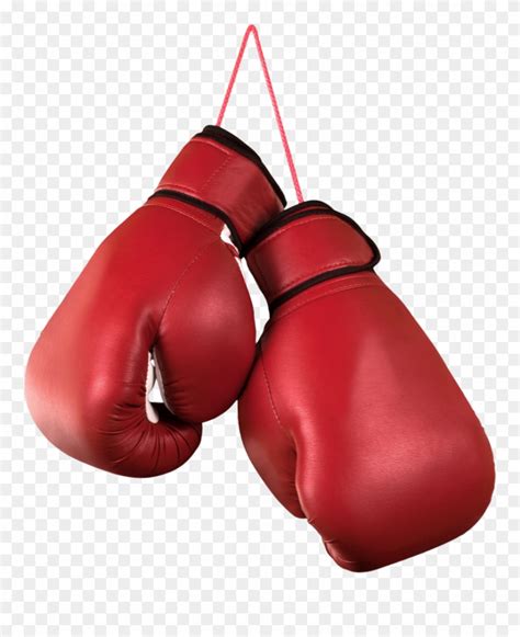Download Boxing Gloves Png Transparent Images - Boxing Clipart (#558573 ...