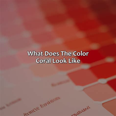 What Color Goes With Red And Black - colorscombo.com