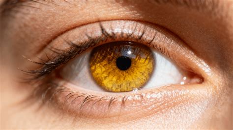 Golden Brown Eyes Meaning and Unique Beauty – Wooeye