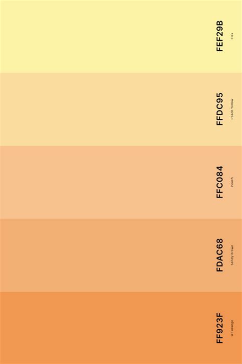 25 best orange color palettes with names and hex codes – Artofit