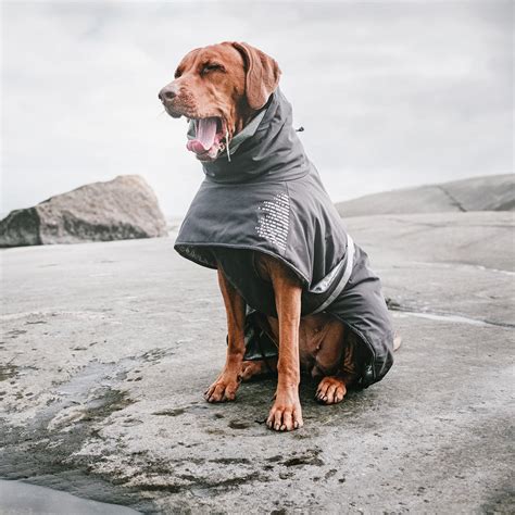 ROUND-UP: 17 Stylish Raincoats for Large Dogs - Hey, Djangles.