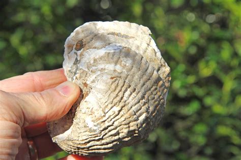 Written In Stone...seen through my lens: Big Brook - New Jersey's ...