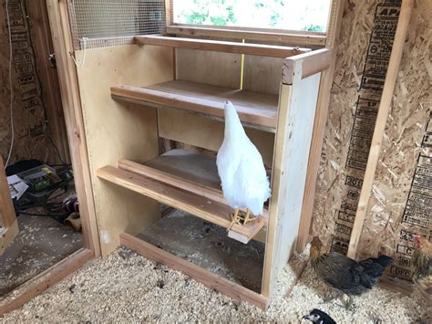 Chicken coop: nesting boxes – Yellow Cottage Homestead