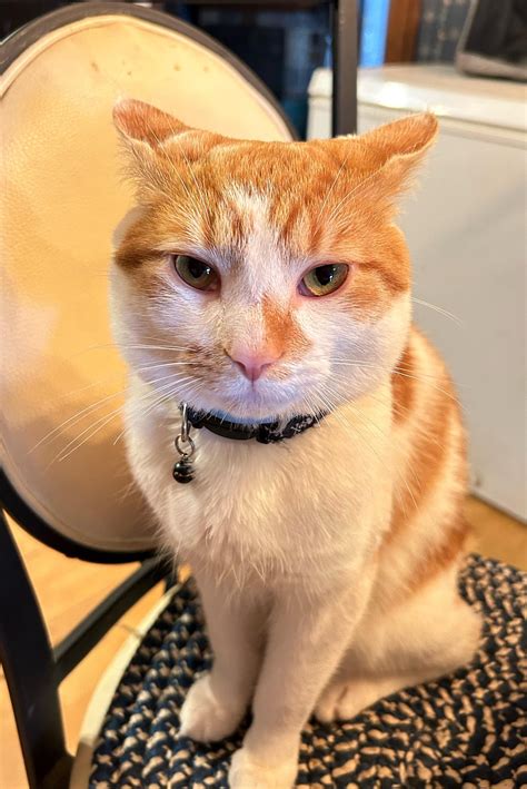 Airplane ears! : r/airplaneears