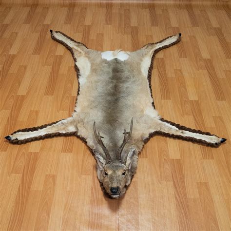 SIBERIAN ROE DEER TAXIDERMY RUG MOUNT WITH HEAD - MOUNTED PELT, FUR ...