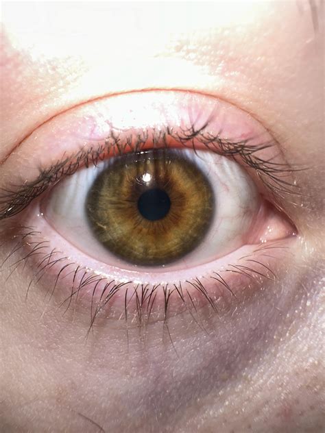 my eyes would be hazel yes? ppl say they're just brown but idk abt that ...