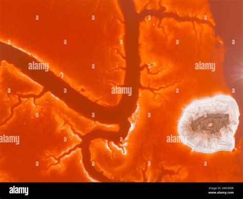 Alviso Marina County Park