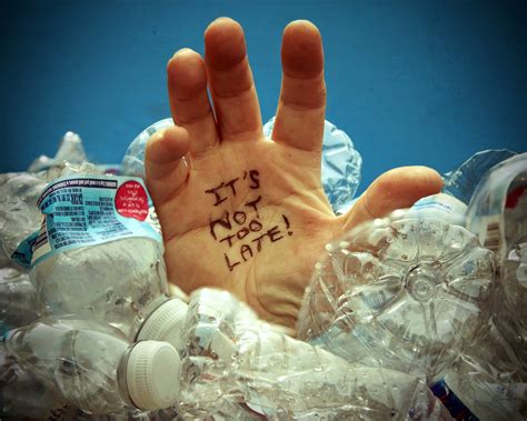 How Does Litter Affect The Earth at Randall Tran blog