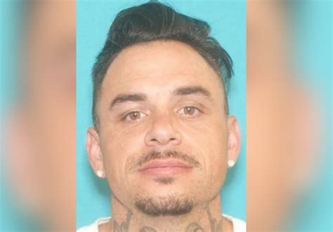 Brother of SF influencer Ricci Wynne facing same human trafficking ...