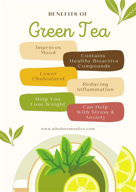 Green Tea and IBS: Effectiveness, Benefits & Side Effects on IBS