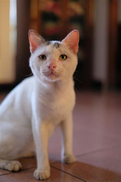 512 X 512 Px Roblox Photos, Download The BEST Free 512 X 512 Px Roblox ...