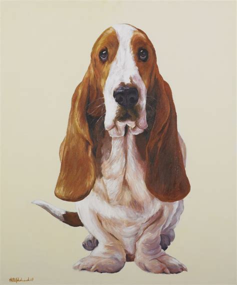 Hush Puppies Dog Hotsell | emergencydentistry.com