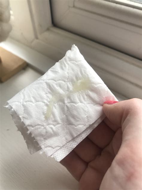 Mucus Plug Discharge Pieces