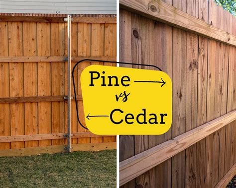 Cedar Vs Pressure Treated Pine