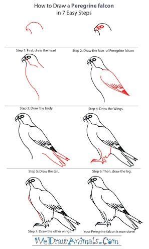 Easy Hawk Drawing at PaintingValley.com | Explore collection of Easy ...