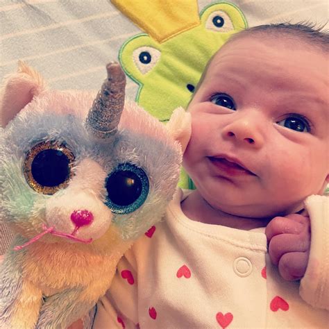 New Feature! - Beanie Baby Birthday Finder! - Beaniepedia - Beanie ...