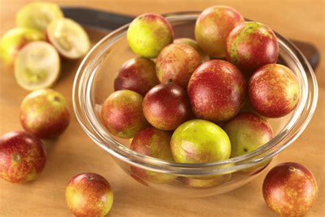 THE HEALING POWER OFCAMU CAMU BERRY: UNLOCKING ITS HEALTH BENEFITS ...