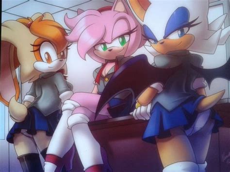 Pin by Laura Molero on Sonic Team | Rouge the bat, Sonic, amy, Sonic art