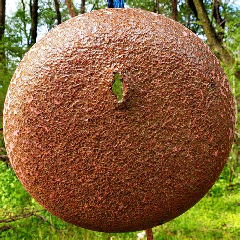 How much do you shoot? | Slingshots Forum