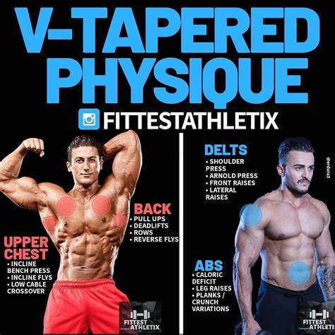 The 5 Most Effective Shoulder Dumbbell Exercises for a V-taper Physique ...