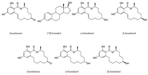 Estrogenic and Non-Estrogenic Disruptor Effect of Zearalenone on Male Reproduction: A Review