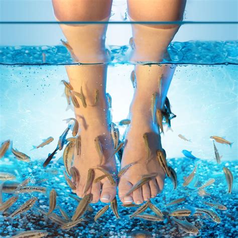 Which Fish Is Used In Fish Pedicure at Clarence Wall blog