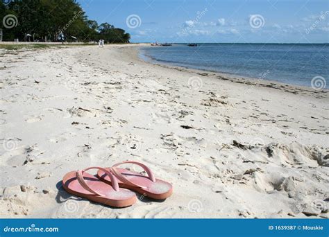 Thongs on the Beach stock image. Image of coast, water - 1639387