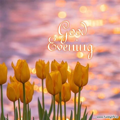 Good Evening Photos, Good Evening Wishes, Evening Pictures, Make You ...