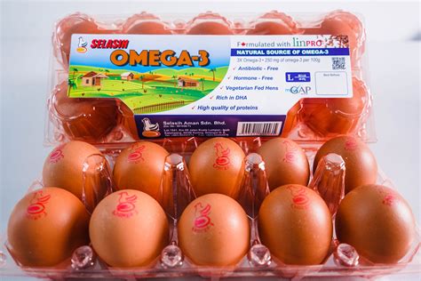 Eggs – Selasih Aman