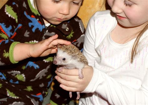 Pets For Youth & Children - Millermeade Farm's Critter Connection