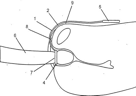 Human Intercourse Method