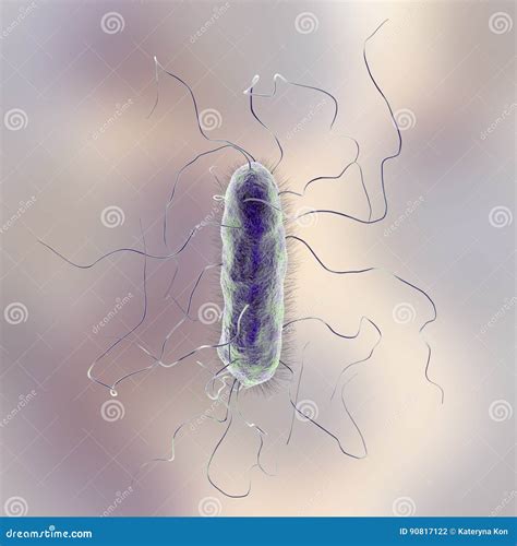 Proteus Mirabilis Bacterium Stock Illustration - Illustration of ...