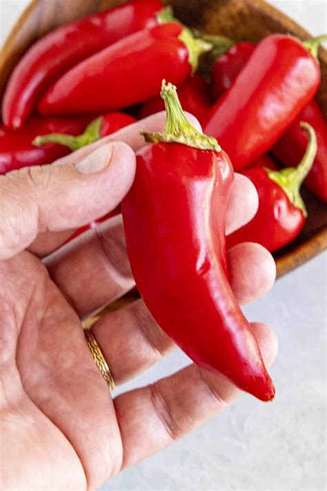 Fresno Chili Pepper