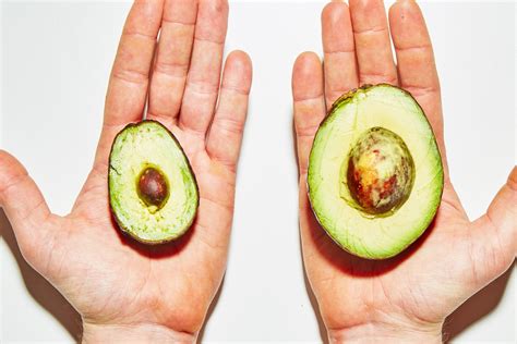 Small Avocado Calories