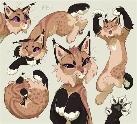 GreyPillow | Warrior cats art, Warrior cat drawings, Cat drawing