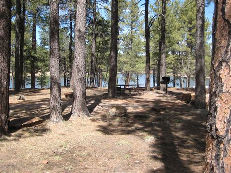 Camping Woods Canyon Lake - CAMPING GJK
