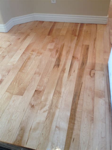 Maple with a natural oil finish | Wood floors, Flooring, Hardwood floors